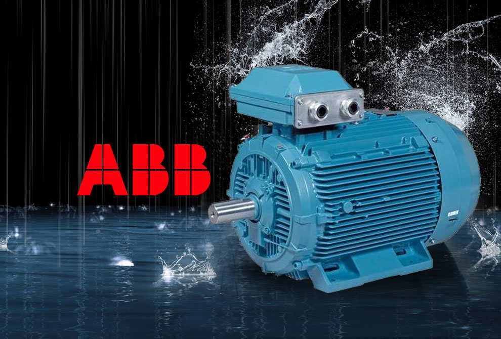 ABB Motors